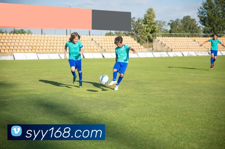 多媒体互动体验