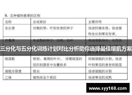 三分化与五分化训练计划对比分析助你选择最佳增肌方案